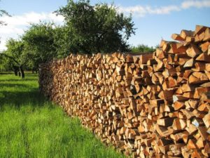 Förderung für Biomasseanlagen